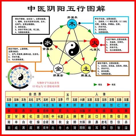 五行 五臟|史上最全：中医五行、五脏、五味、五色、五官、五情、五季、五。